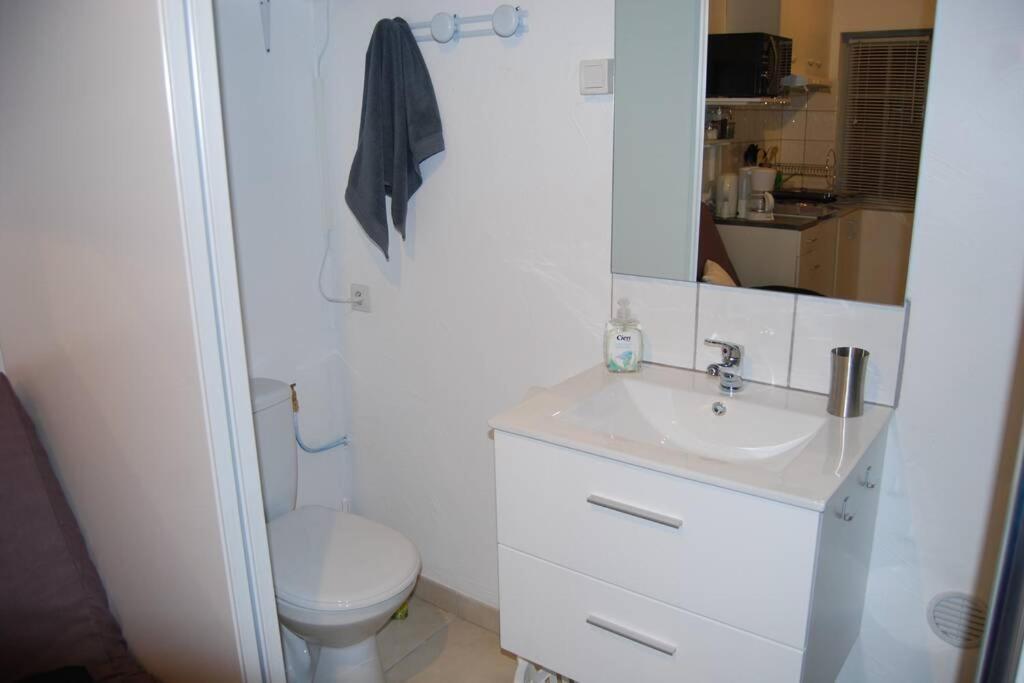 L'Atelier A 100 M De Tarbes Sud Villa Laloubere Dış mekan fotoğraf